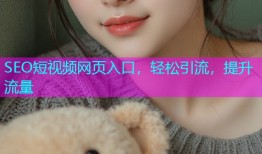 SEO短视频网页入口，轻松引流，提升流量